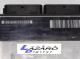 Unidades Electrónicas 7700114875 - Centralita Motor RENAULT CLIO II / KANGOO 1.9  D (64 CV)